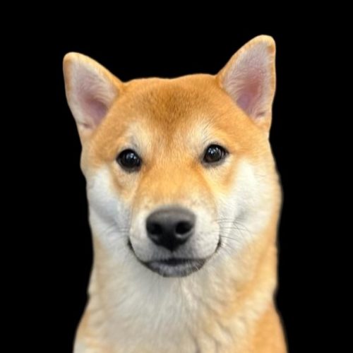 Mitarbeiter Sernitas